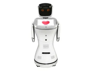 Home Companion Robot
