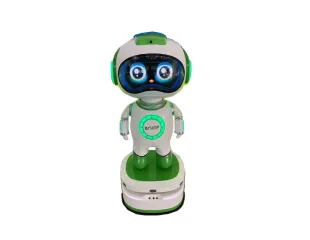 Customized Appearance Development Robot