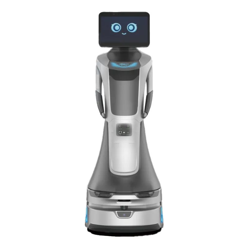Robot Penerima Tamu dengan Panduan Gerakan Penjelasan untuk Restoran, Hotel, Ruang Pameran, Perpustakaan, dan Kantor Penjualan(Gambar3)
